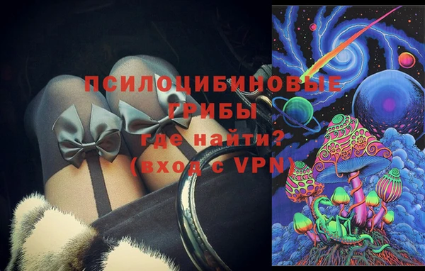 дмт Алексин