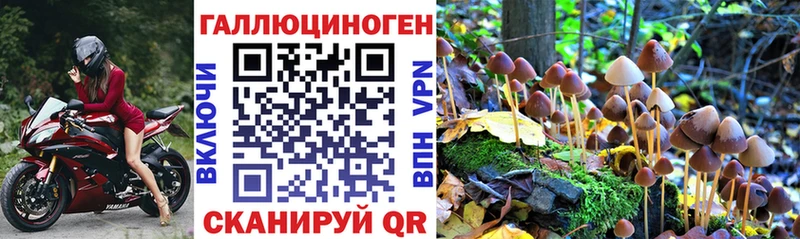цены наркотик  Новый Оскол  Псилоцибиновые грибы Magic Shrooms 